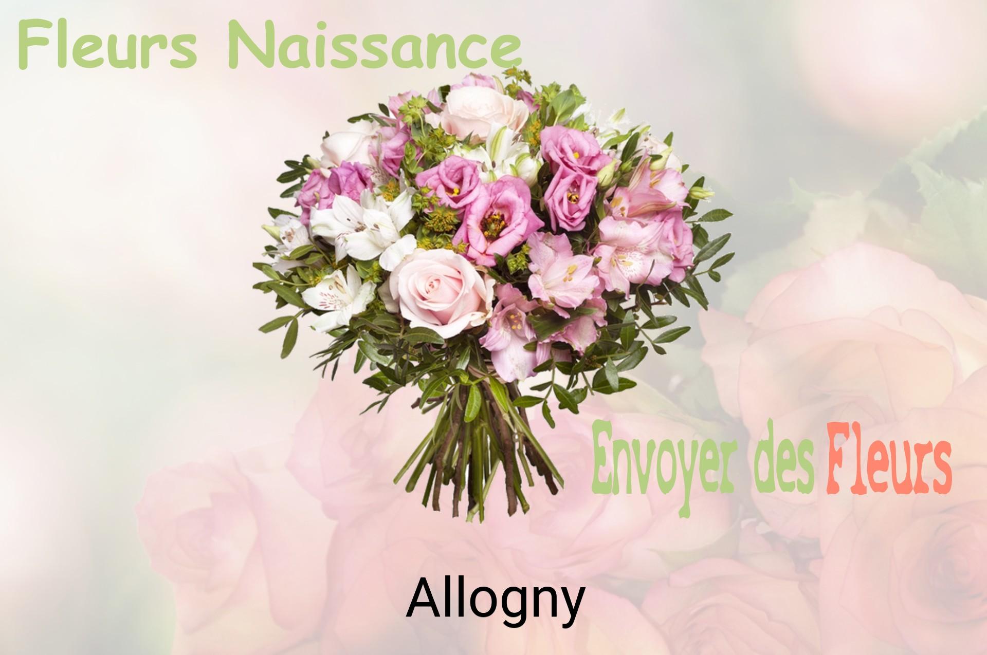 Bouquet de fleurs de naissance livré à Allogny